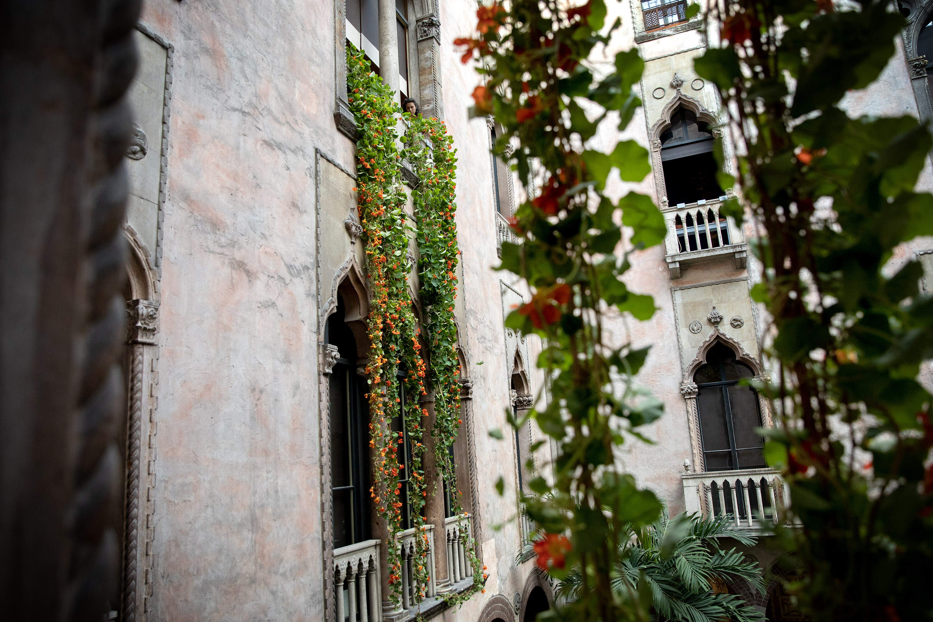 Nasturtium plants hang down from the windows in the courtyard of the Isabella Stewart Gardner Museum. (Robin Lubbock/WBUR)