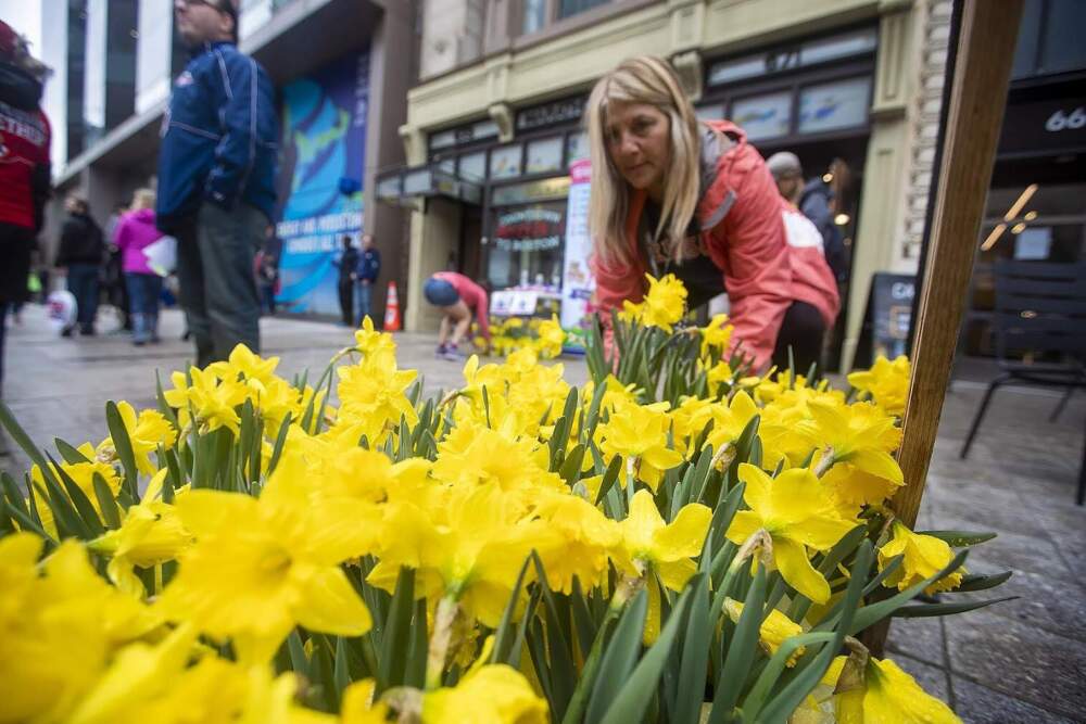 Jean Sheedy picks up Boston Strong daffodils to place in front her cookie stand on the marathon sidelines in 2019. (Jesse Costa/WBUR)