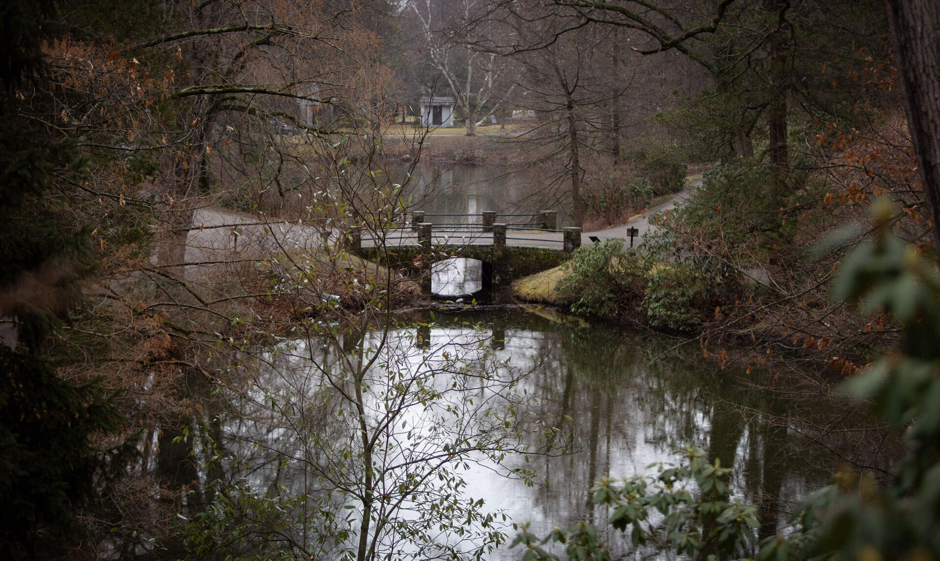 Auburn Lake in Mount Auburn Cemetery. (Robin Lubbock/WBUR)