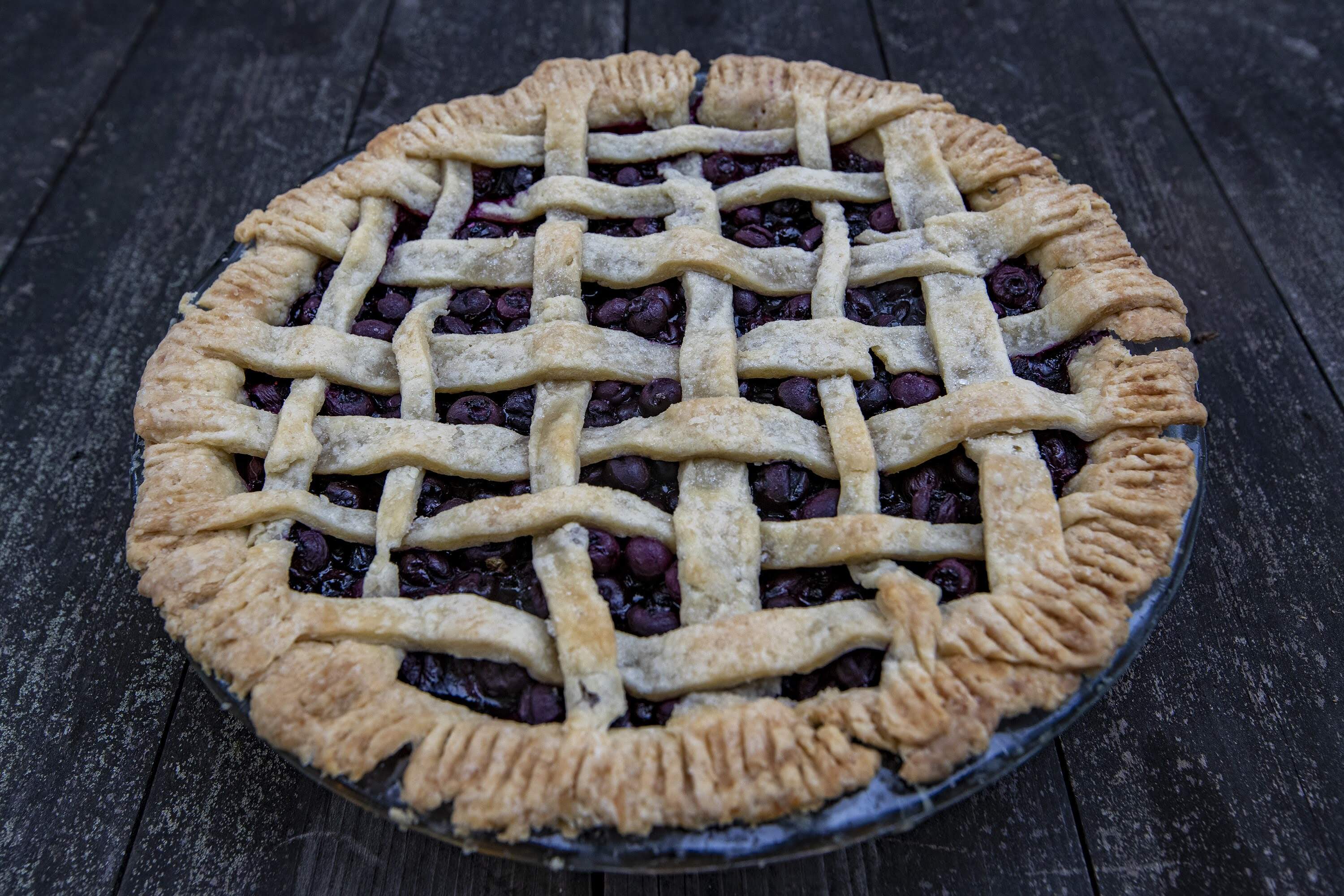 A blueberry pie made with blueberries from Honeypot Hill Orchards in Stow. (Jesse Costa/WBUR)