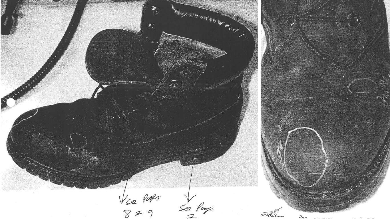 Marlyne Johnson's blood was found on one of Sean Correia's boots. (Courtesy of the Clark County Sheriff's Office)