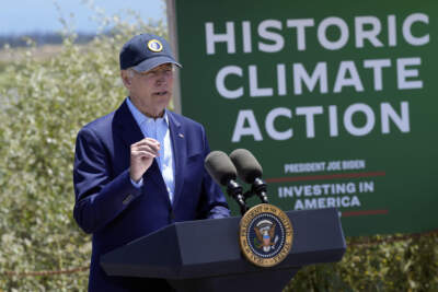 President Joe Biden speaks at the Lucy Evans Baylands Nature Interpretive Center and Preserve in Palo Alto, Calif., June 19, 2023. (Susan Walsh/AP)