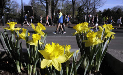 The weather should be just right for Marathon Monday