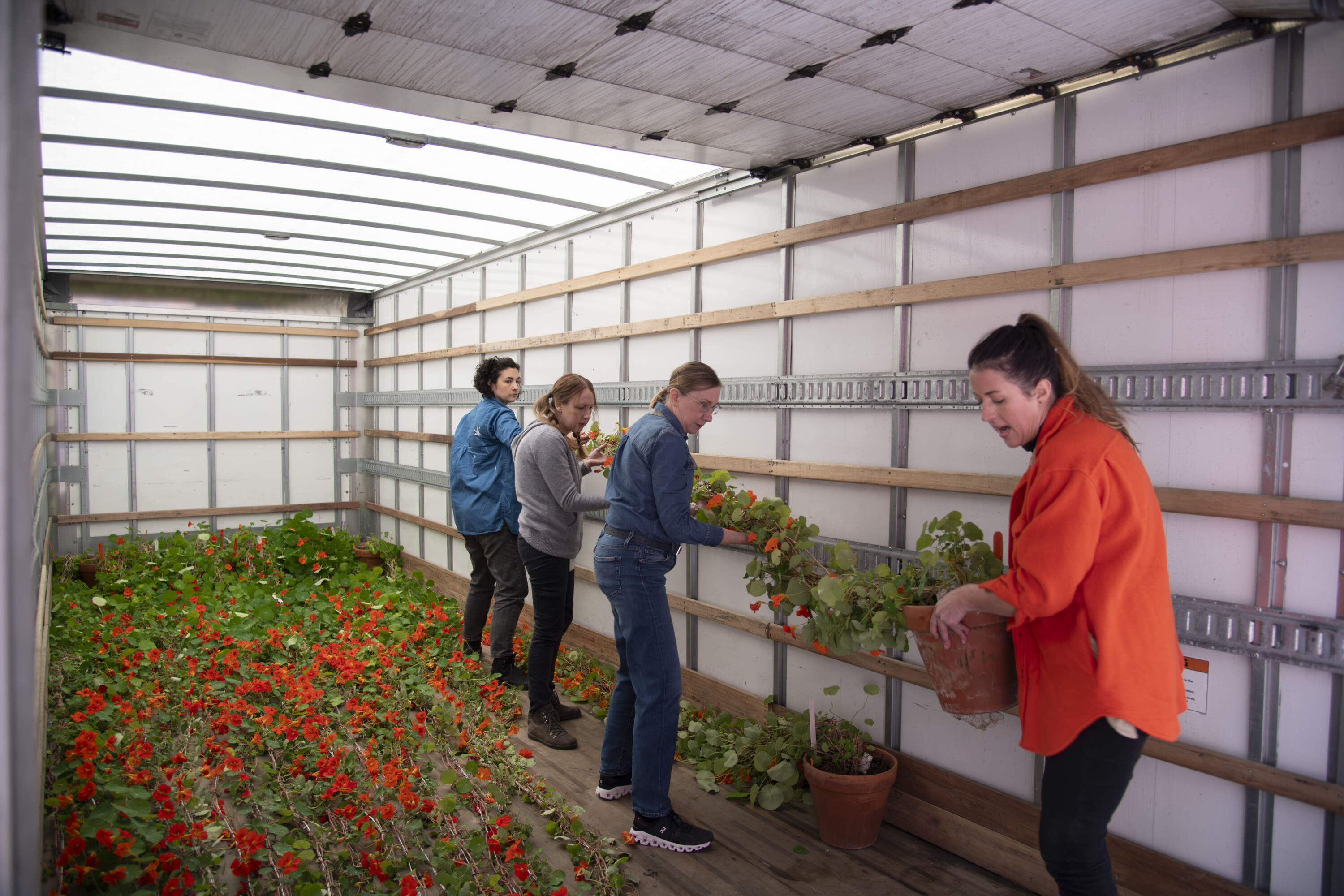 Horticulturist Erika Rumbley and her team unload nasturtium vines. (Photo courtesy of the Isabella Stewart Gardner Museum)