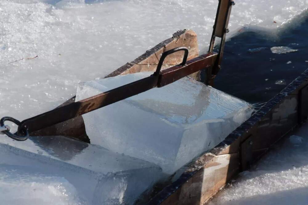 Eastman Cove is a new spot for ice harvesting; the ice at Deep End, a part of the lake on the camp’s property, hasn’t been freezing thick enough to hold the tools and trucks that the team uses to harvest the ice. (Zoey Knox/NHPR) 