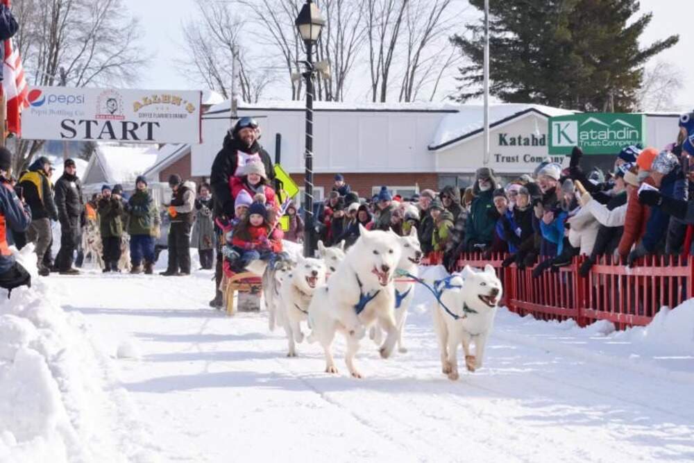 Jonathan Hayes races his dog sled. (Courtesy of Jonathan Hayes)