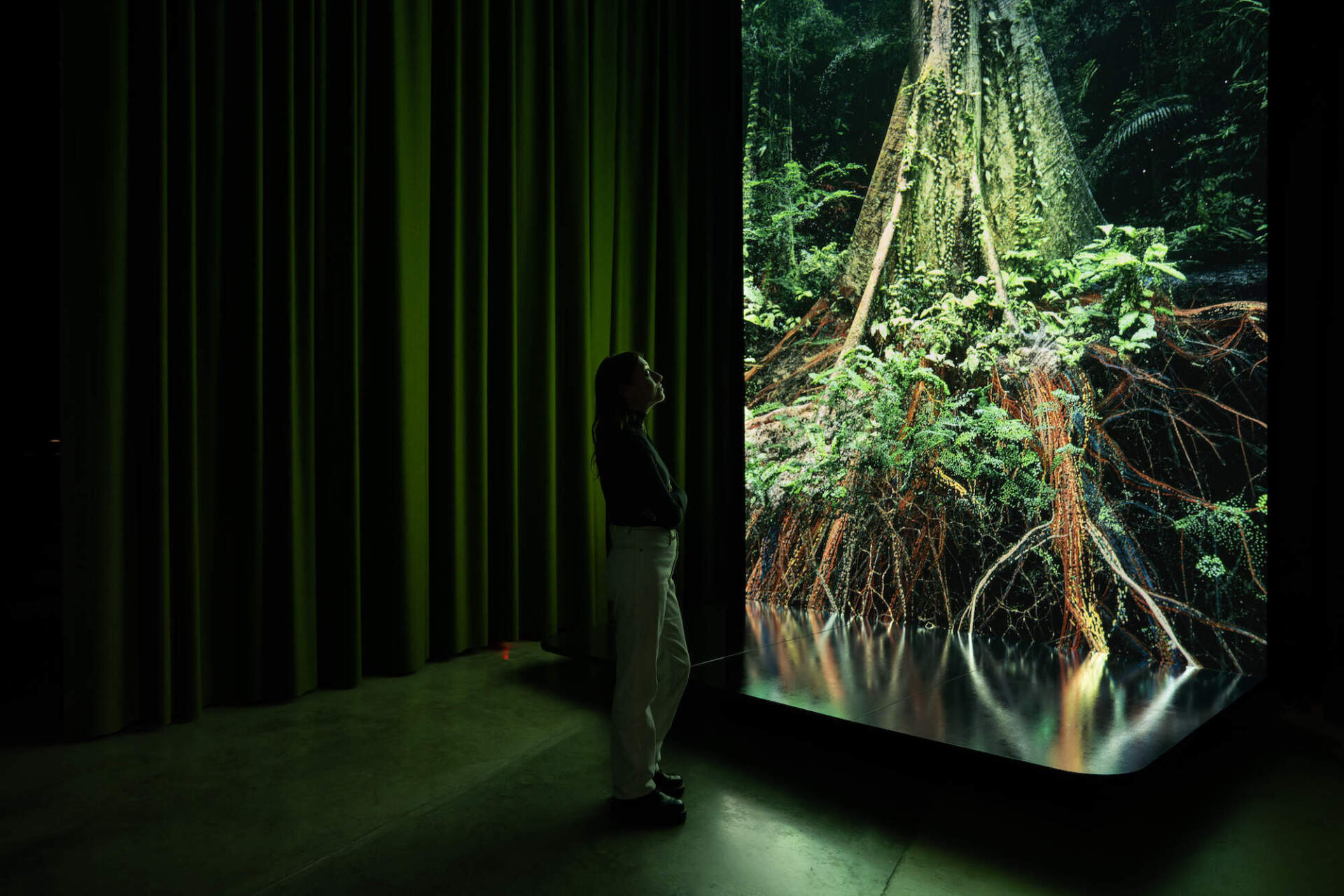 Marshmallow Laser Feast in collaboration with James Bulley and Andres Roberts, "Sanctuary of the Unseen Forest," 2022. Installation view of the "Our Time on Earth" exhibition at the Barbican Centre in London. (Courtesy of the artist and Sandra Ciampone)