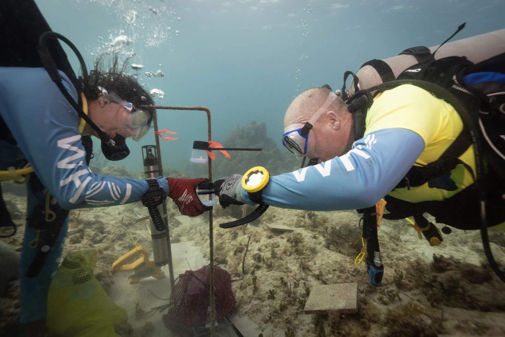 WHOI biologists Nadege Aoki (L) and Aran Mooney install an underwater speaker system to broadcast healthy reef sounds, off the coast of the U.S Virgin Islands. (Photo by Dan Mele, courtesy of the Woods Hole Oceanographic Institution via CAI)