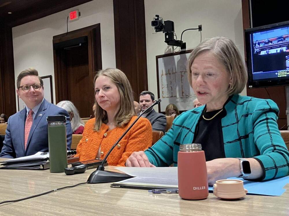 Mary Beckman, of the Executive Office of Health and Human Services; Torey McNamara, of Department of Public Health; and David Seltz, of the Massachusetts Health Policy Commission testify during a hearing on private equity on Monday, March 25. (Alison Kuznitz/SHNS) 