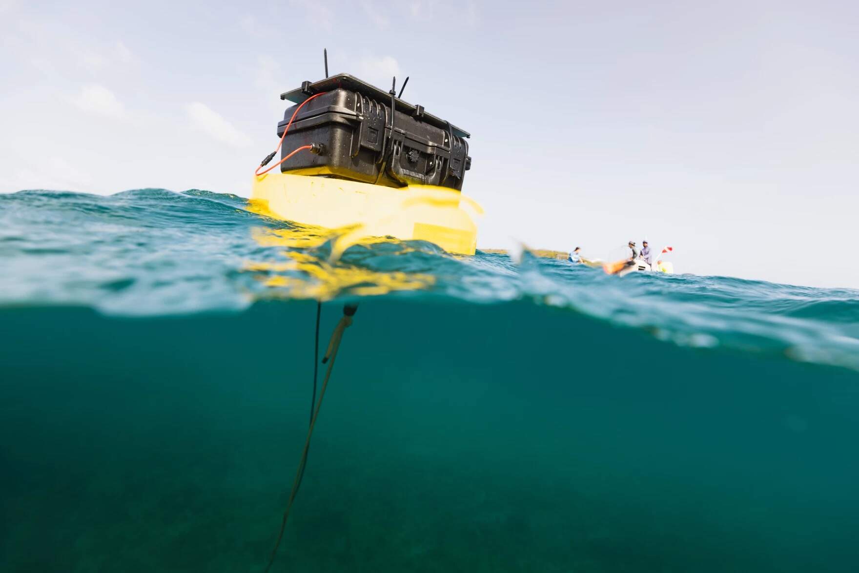 A reef that has been degraded – whether by coral bleaching, disease, or direct human impacts – can’t support the same diversity of species and has a much quieter, less rich soundscape. (Photo by Dan Mele, courtesy of the Woods Hole Oceanographic Institution via CAI)