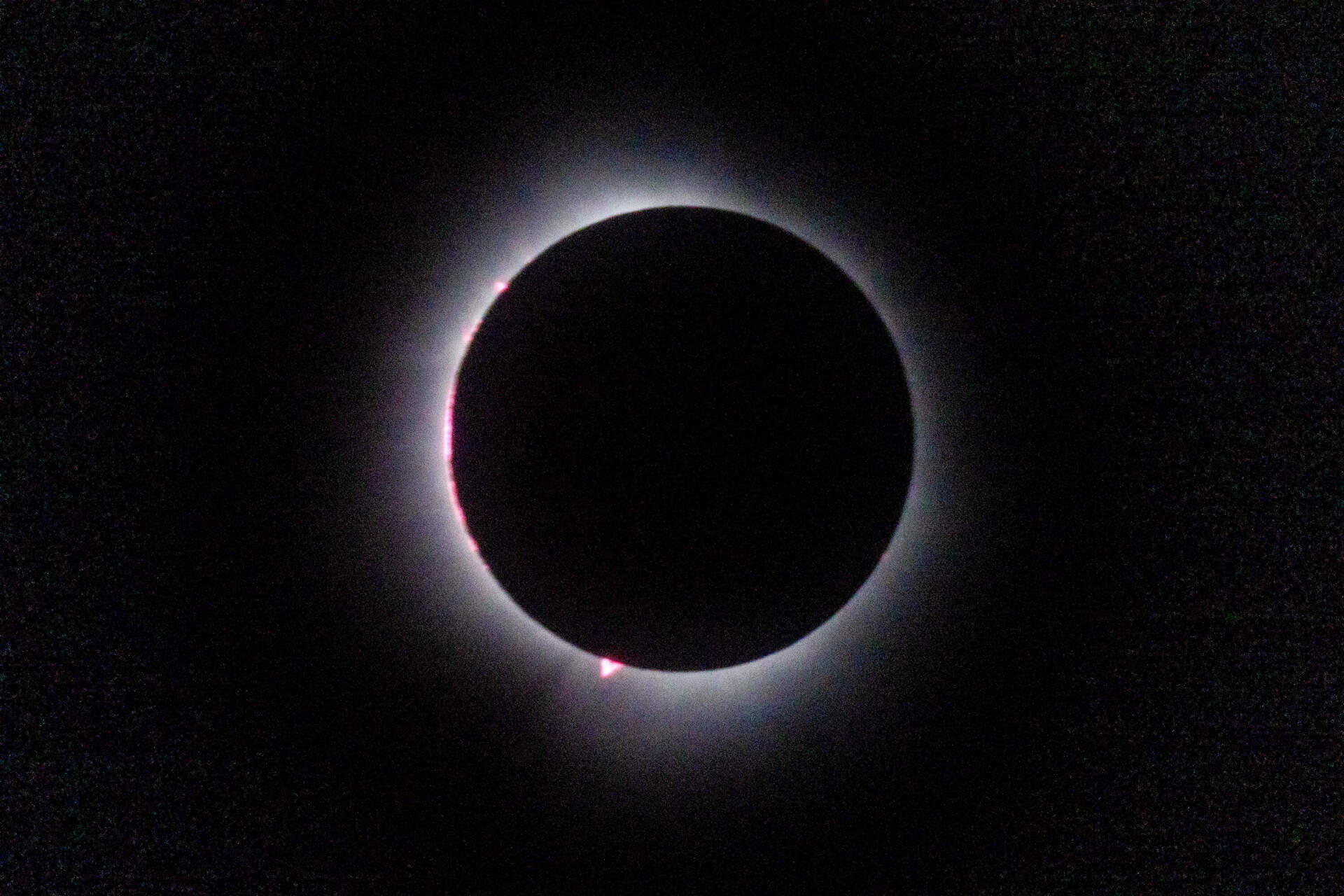The corona of the sun during the total solar eclipse as seen from Montpelier, Vermont. (Jesse Costa/WBUR)