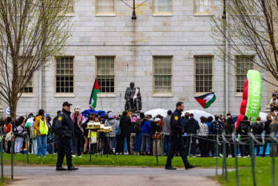 Harvard students prop up tents to protest war in Gaza and suspension of campus group