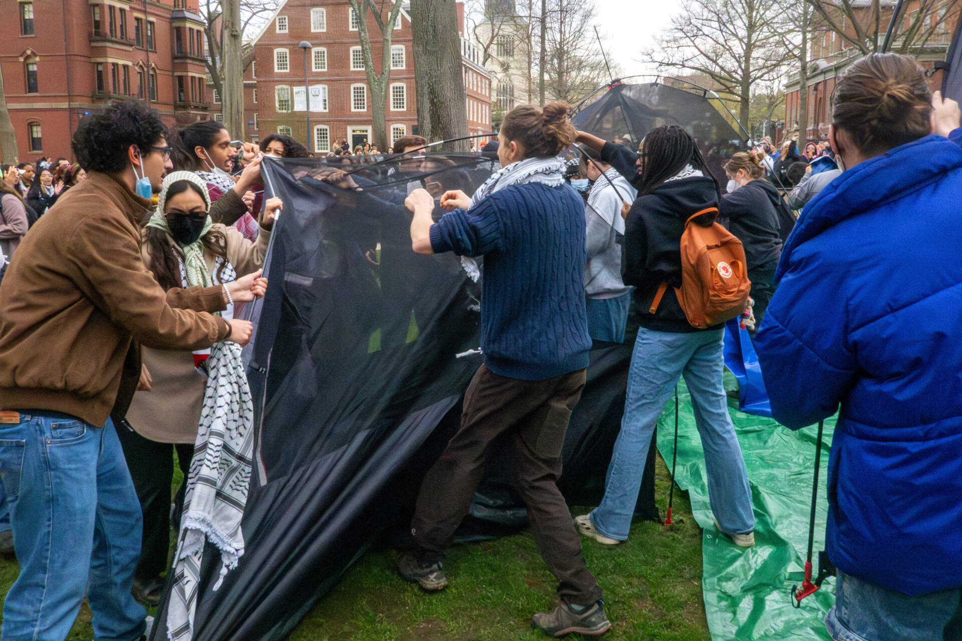 Protesters calling for a ceasefire in Gaza set up tents in Harvard Yard Wednesday afternoon. (Max Larkin/WBUR)
