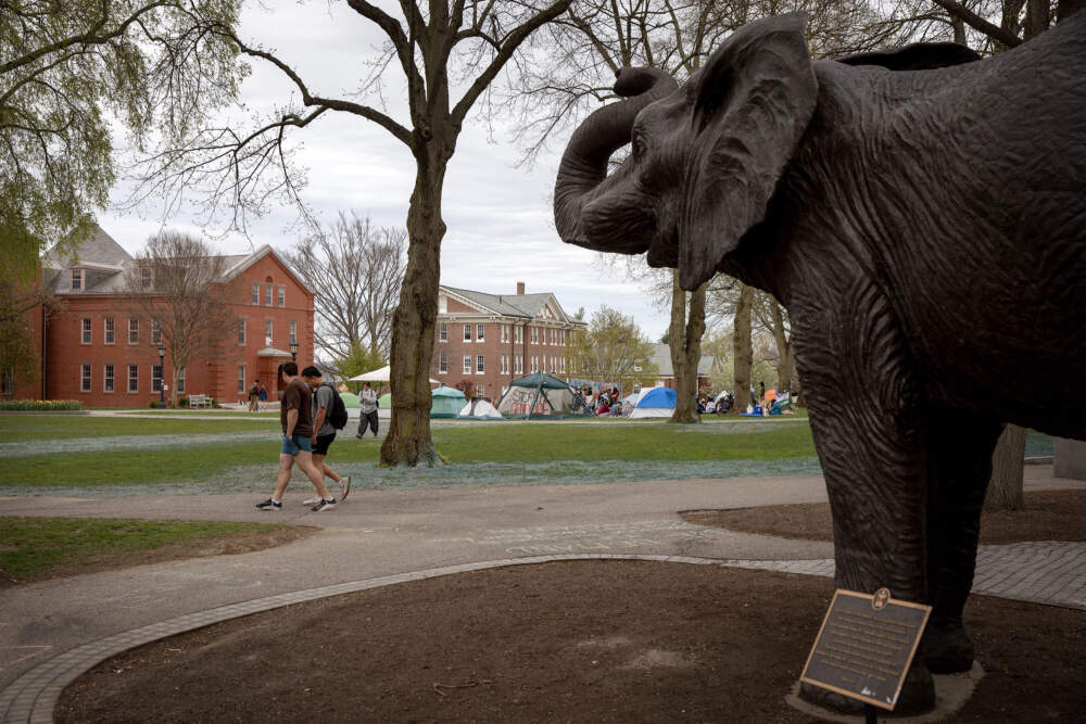 Student protesters' tents on the Green at Tufts University. (Robin Lubbock/WBUR)