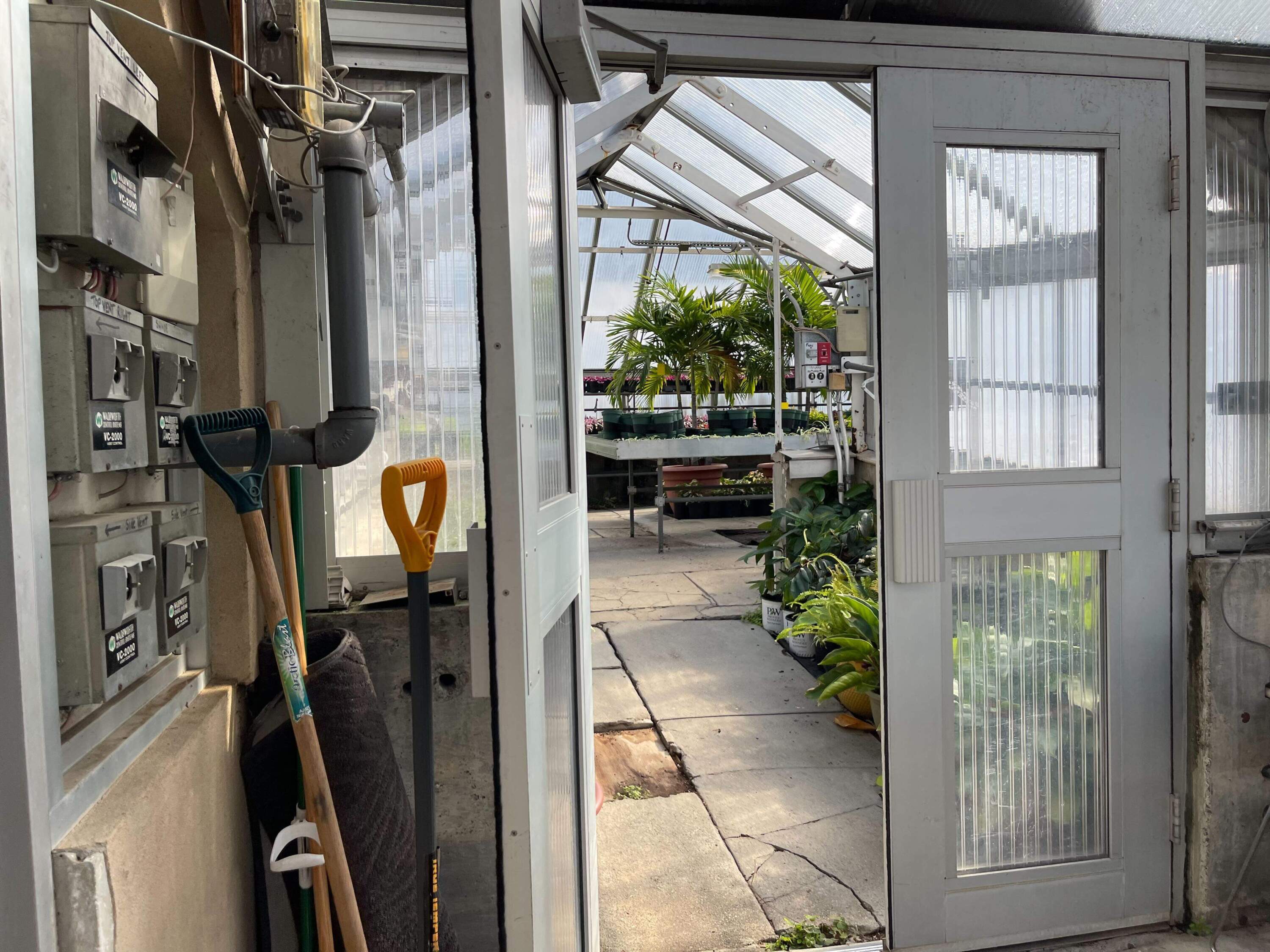 The city's greenhouse in Franklin Park is more than 120 years old. (Rupa Shenoy/WBUR)
