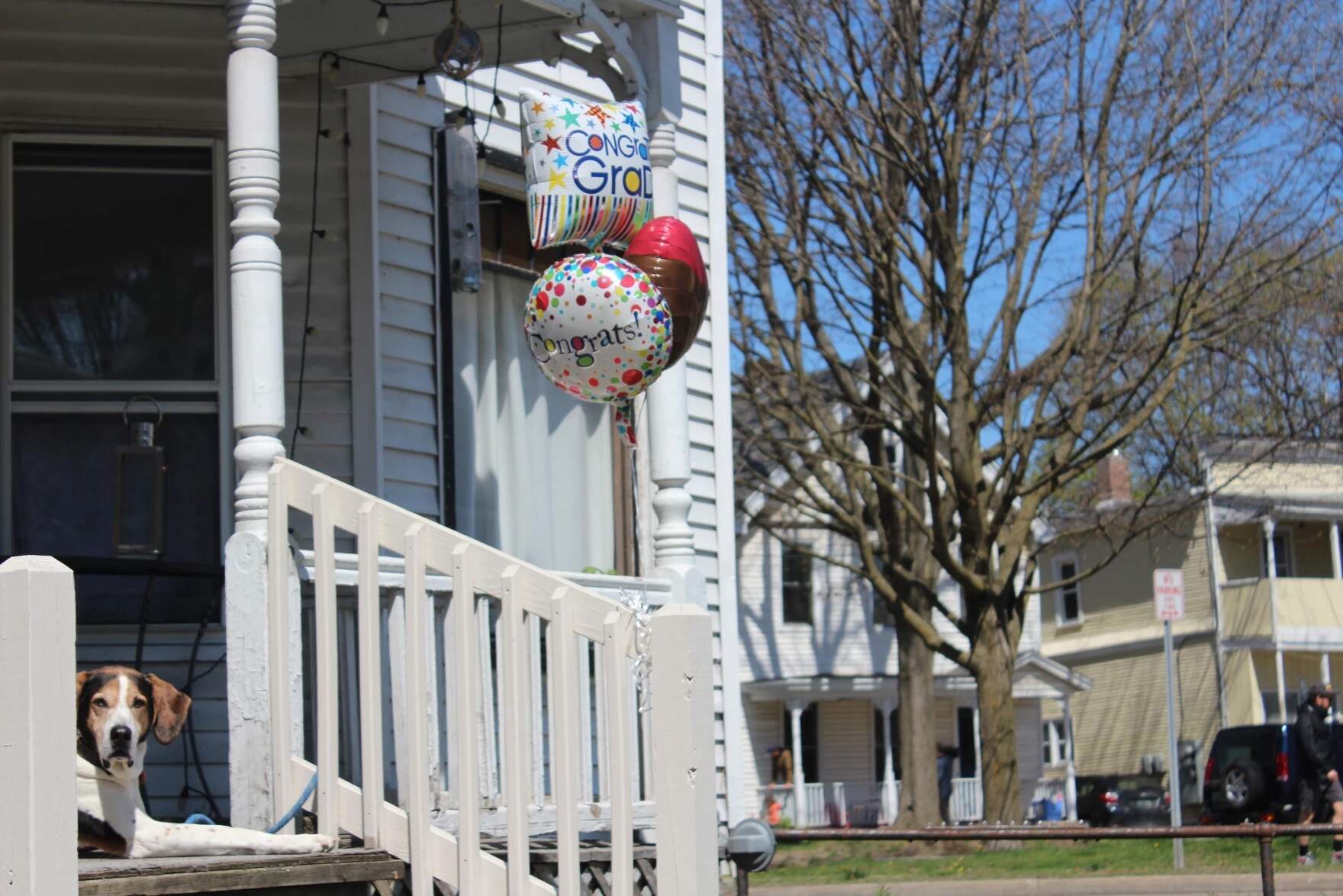 In Burlington, Vt.'s Old North End, most of the homes are rental units — and many were built in the 1800s or early 1900s. (Abagael Giles/Vermont Public)