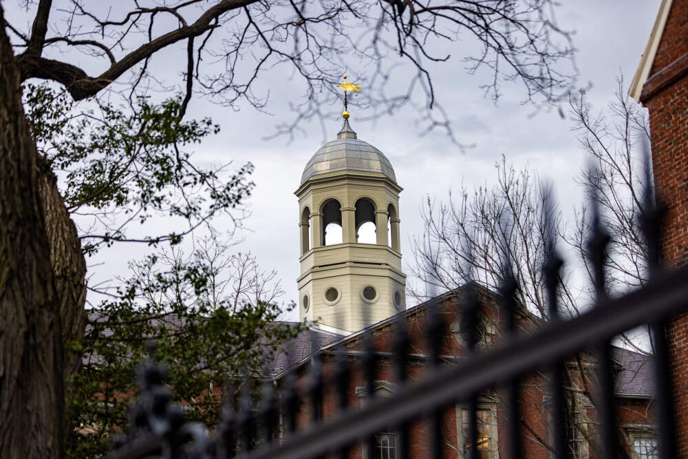 Harvard Hall in Harvard Yard in April 2024. (Jesse Costa/WBUR)