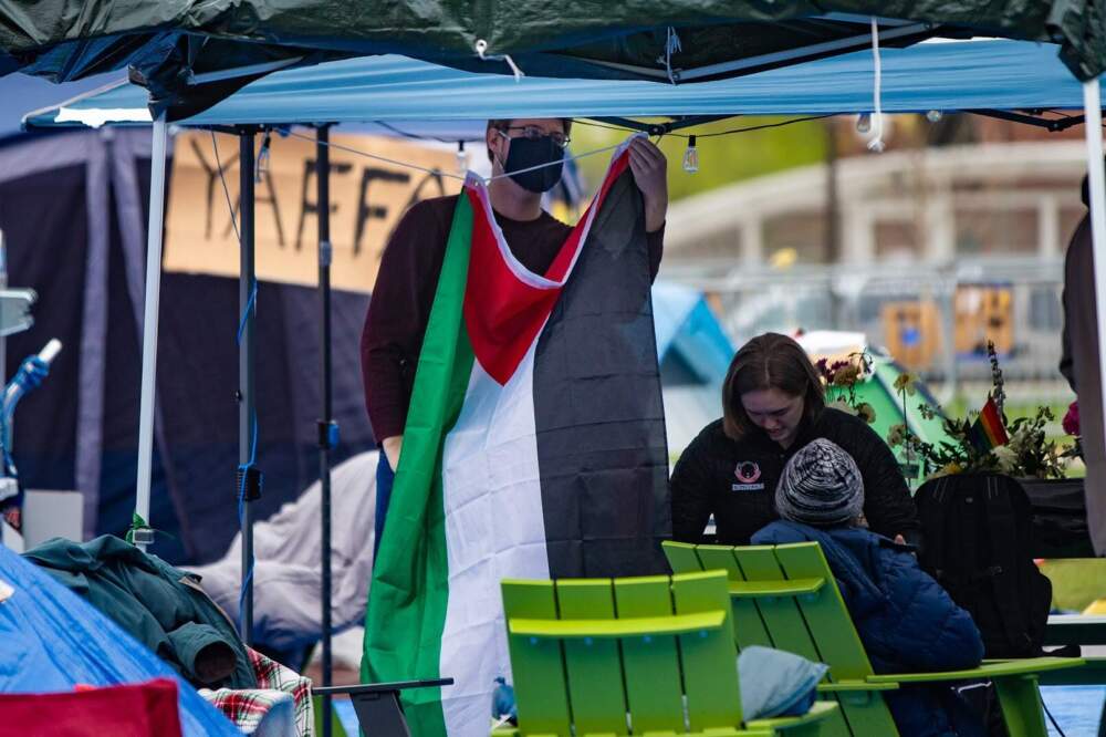 A protester hangs the flag of Palestine from one of the tents of the encampment at MIT. (Jesse Costa/WBUR)