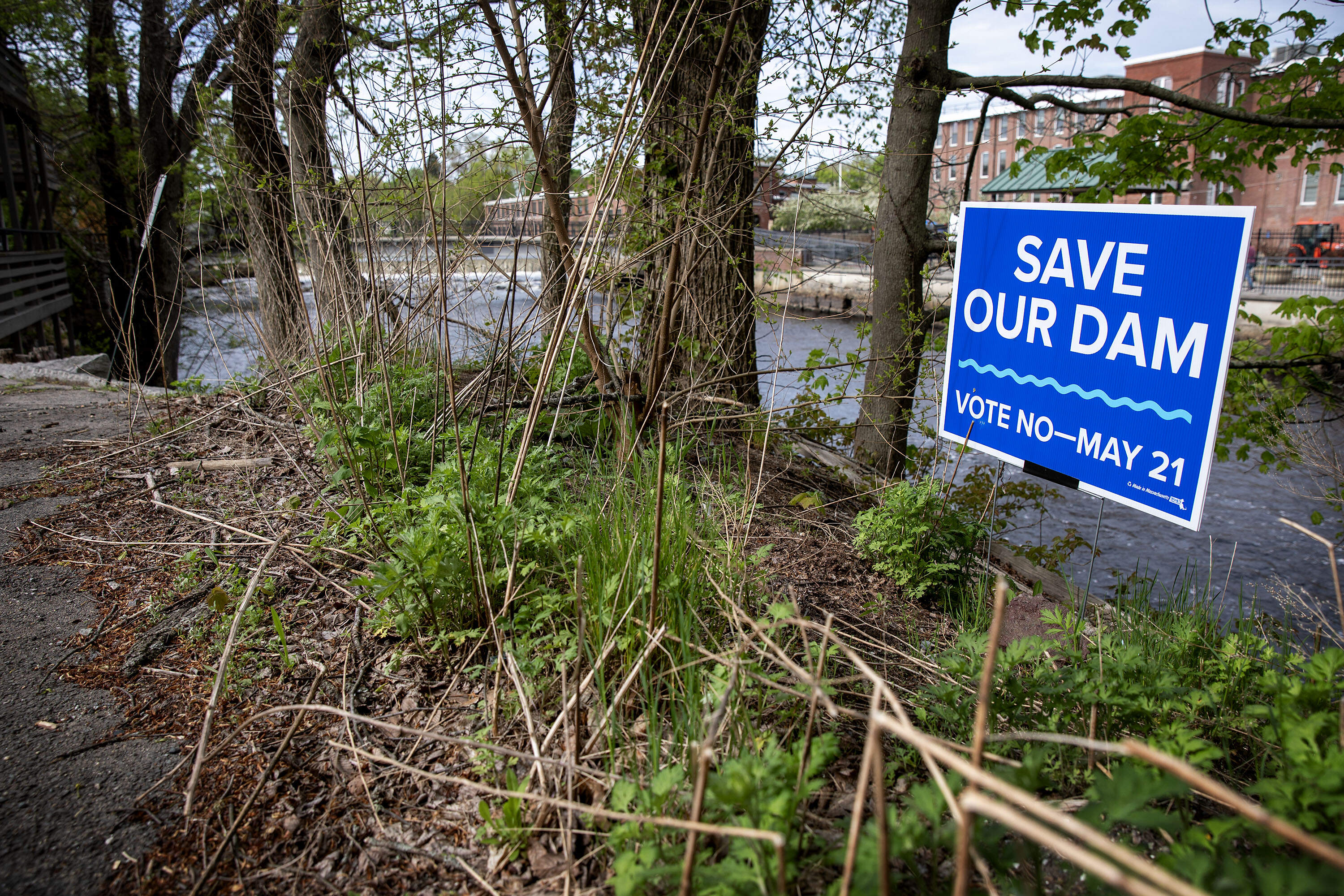 A campaign sign to save the Ipswich Mills Dam stands by the Ipswich River, with the dam in the background. (Robin Lubbock/WBUR)