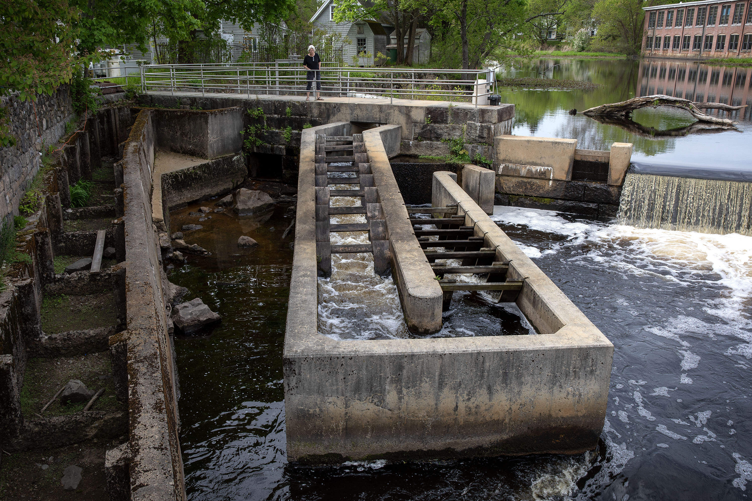 The fish ladder at the side of Ipswich Mills dam. (Robin Lubbock/WBUR)
