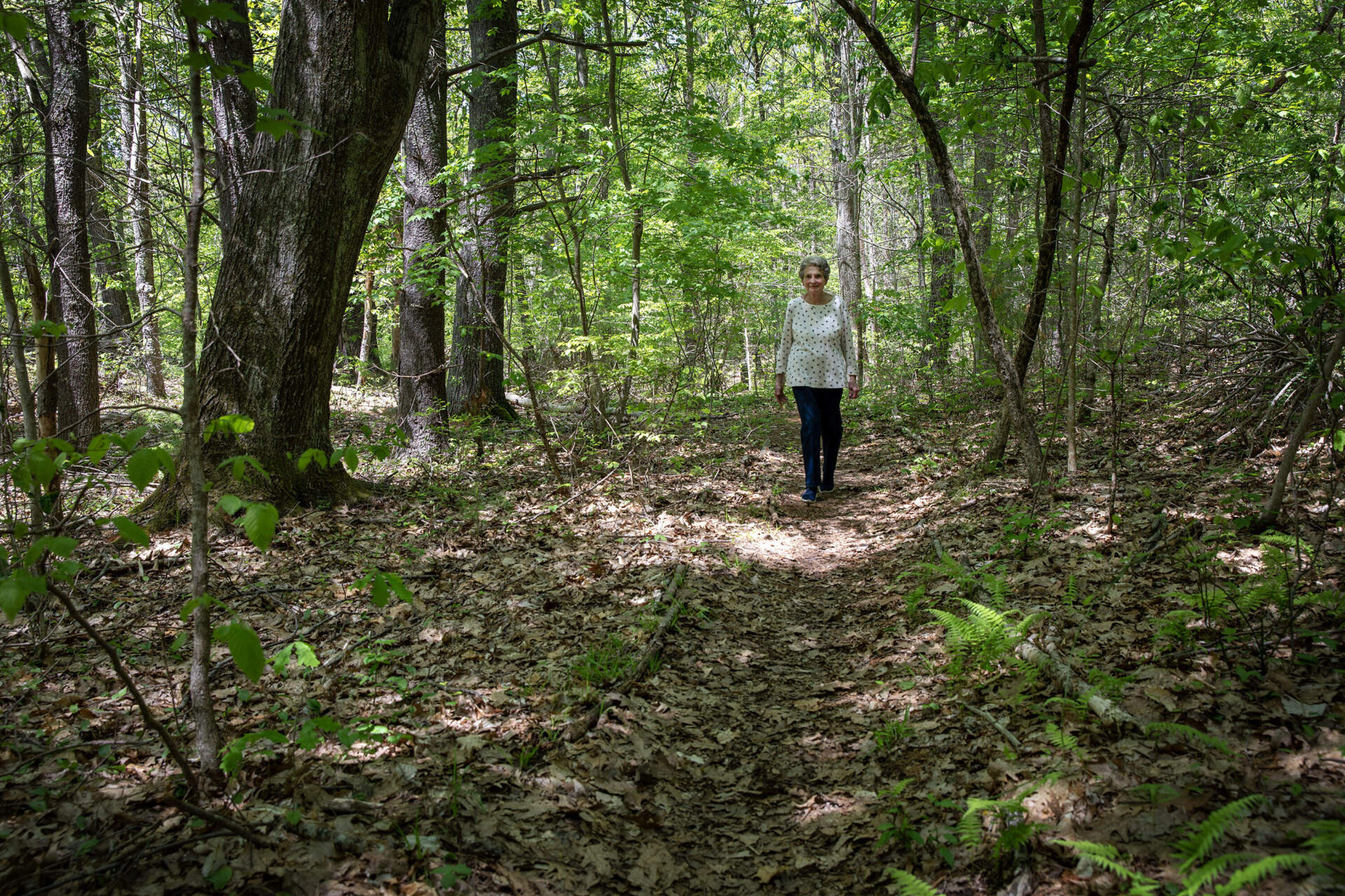 Carol Williams walks through the woods behind her home which she hopes to restrict from future development. (Robin Lubbock/WBUR)