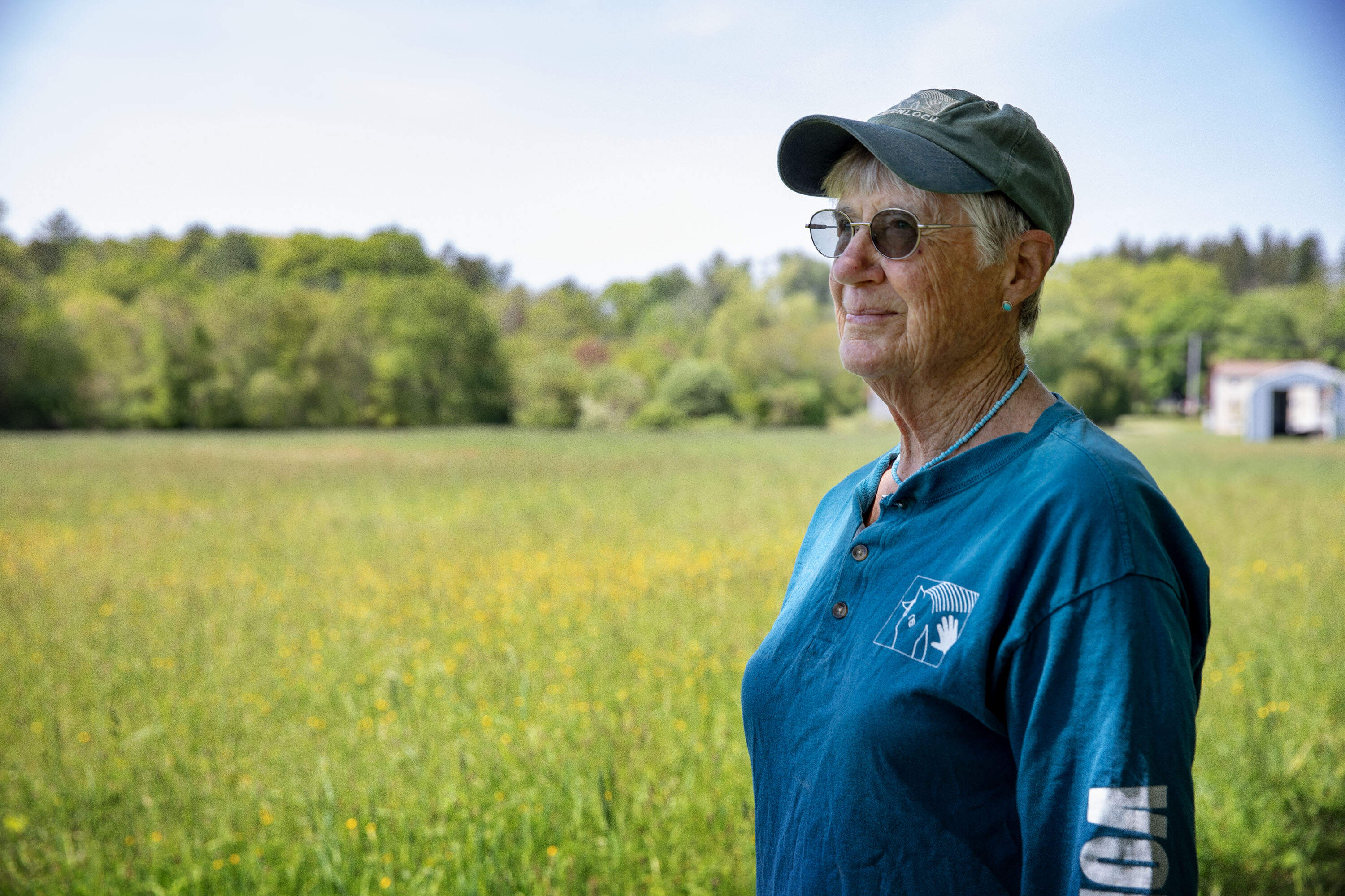 Edith Wislocki looks across the hay field and nearby woods, which she aims to protect with conservation restrictions. (Robin Lubbock/WBUR)