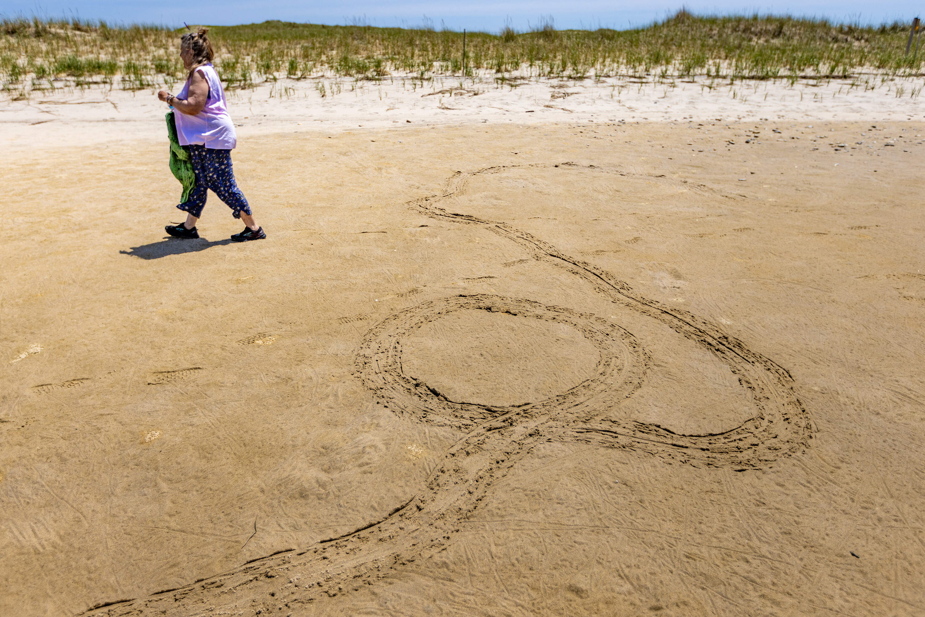 Volunteer Audrey Stage walks along the beach past the trail of a horseshoe crab during the horseshoe crab survey. (Jesse Costa/WBUR)