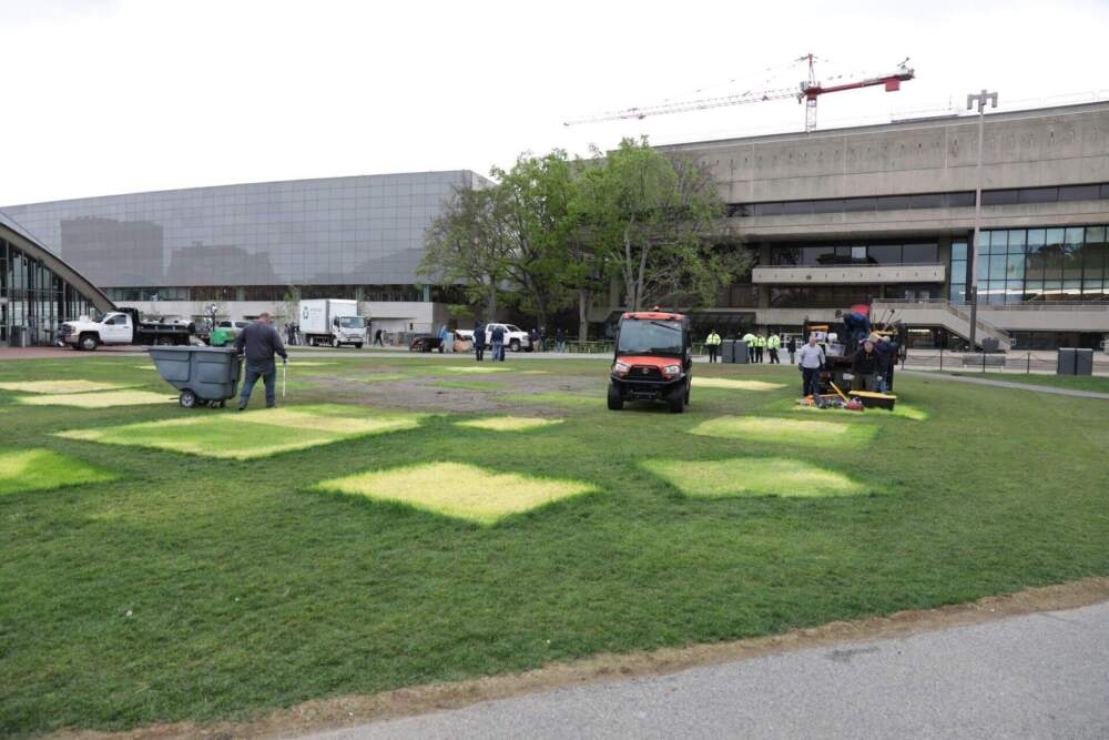 Crews clean up the Kresge Lawn at MIT after police removed the protest encampment. Stained squares on the grass show where tents stood hours before. (Robin Lubbock/WBUR)