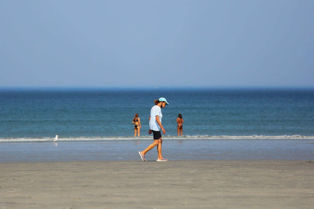 Train dreams: A beach adventure