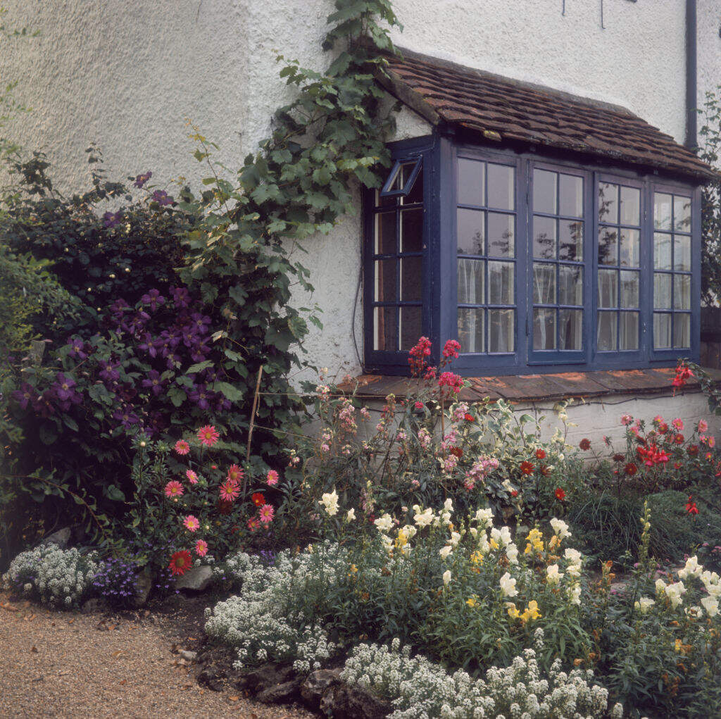 I'm a feckless gardener — and that's OK