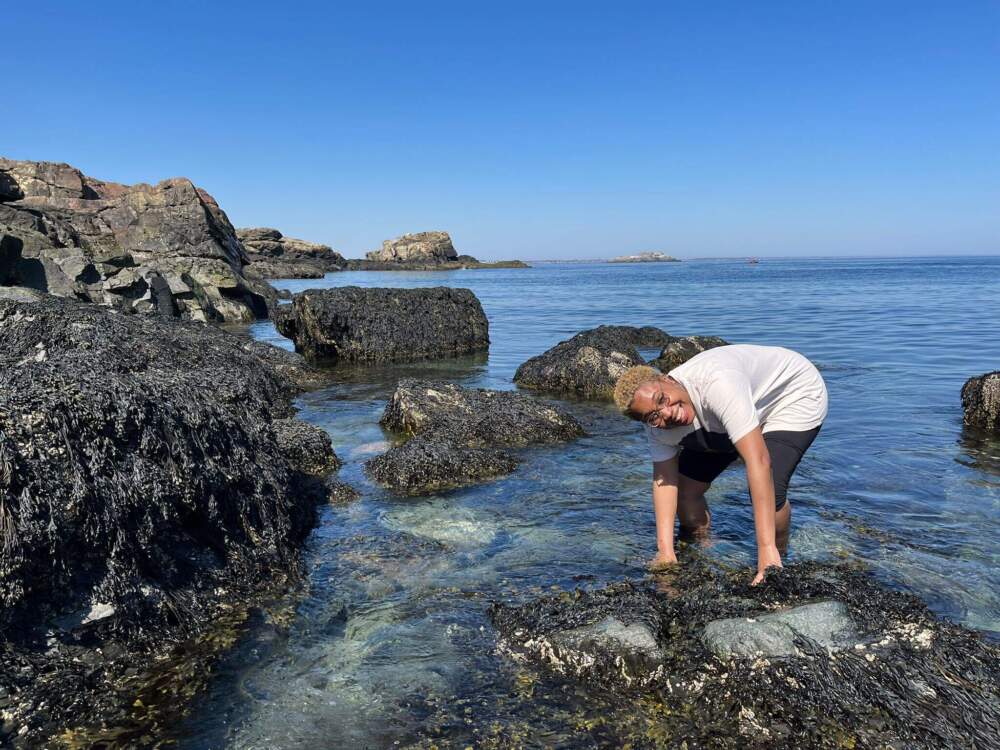 Lead author Leanne Melbourne collecting mussel shells on Canoe Beach in Nahant Bay, Massachusetts. (Maria Rosabelle Ong)