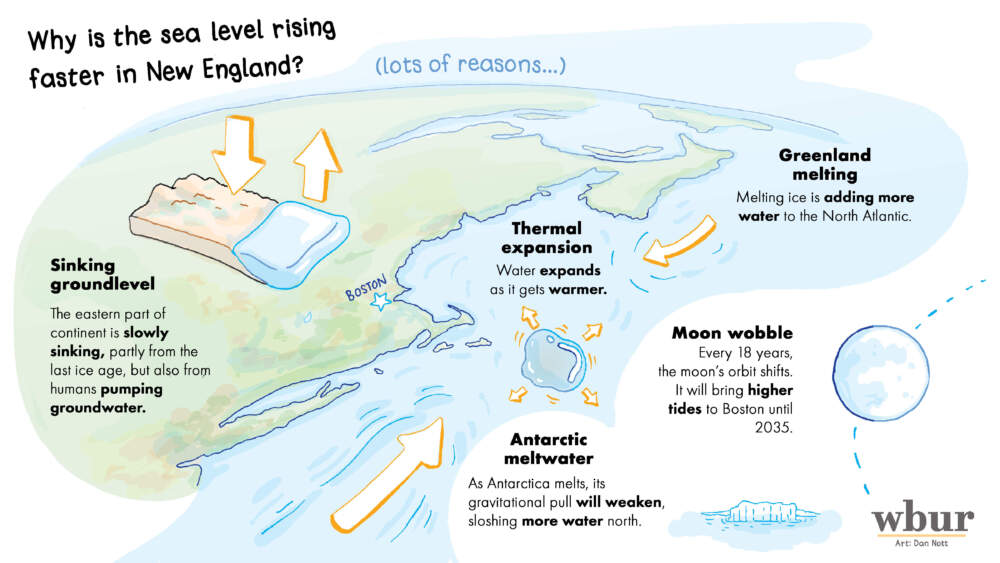 A graphic showing how and why sea levels are rising faster in New England than some other parts of the world. It has to do with the east coast sinking from effects of the last Ice Age, Antartica and Greenland melting and something called &quot;moon wobble.&quot;
