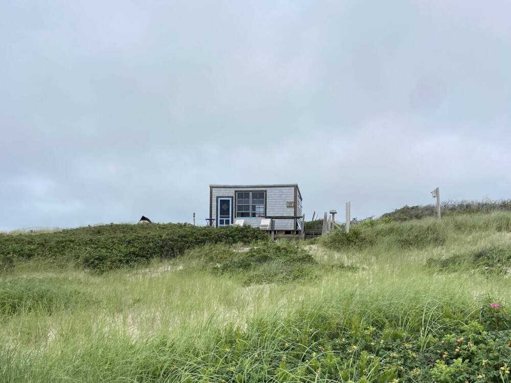 The Margo-Gelb shack on the Cape Cod National Seashore. (Courtesy Elizabeth Flood)