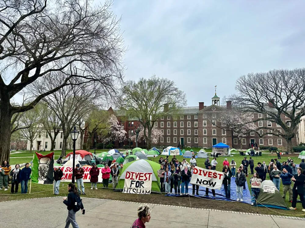 The protest tent encampment at Brown University. (The Public's Radio)