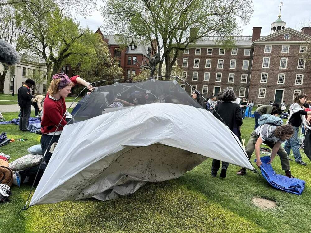 Protesters take down a pro-Palestinian encampment after reaching an agreement with Brown University administrators on April 30, 2024. (Olivia Ebertz/The Public's Radio)
