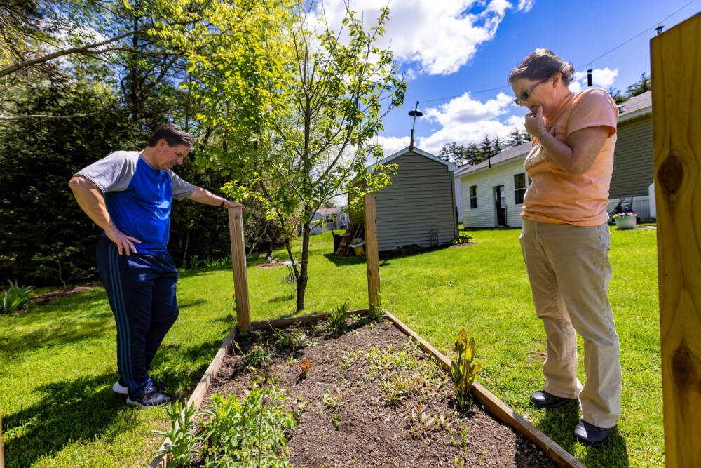 Ed and Rose Bartok take stock in their raised bed garden in the backyard of their home at the Miller’s Woods and River Bend community in Athol. (Jesse Costa/WBUR)