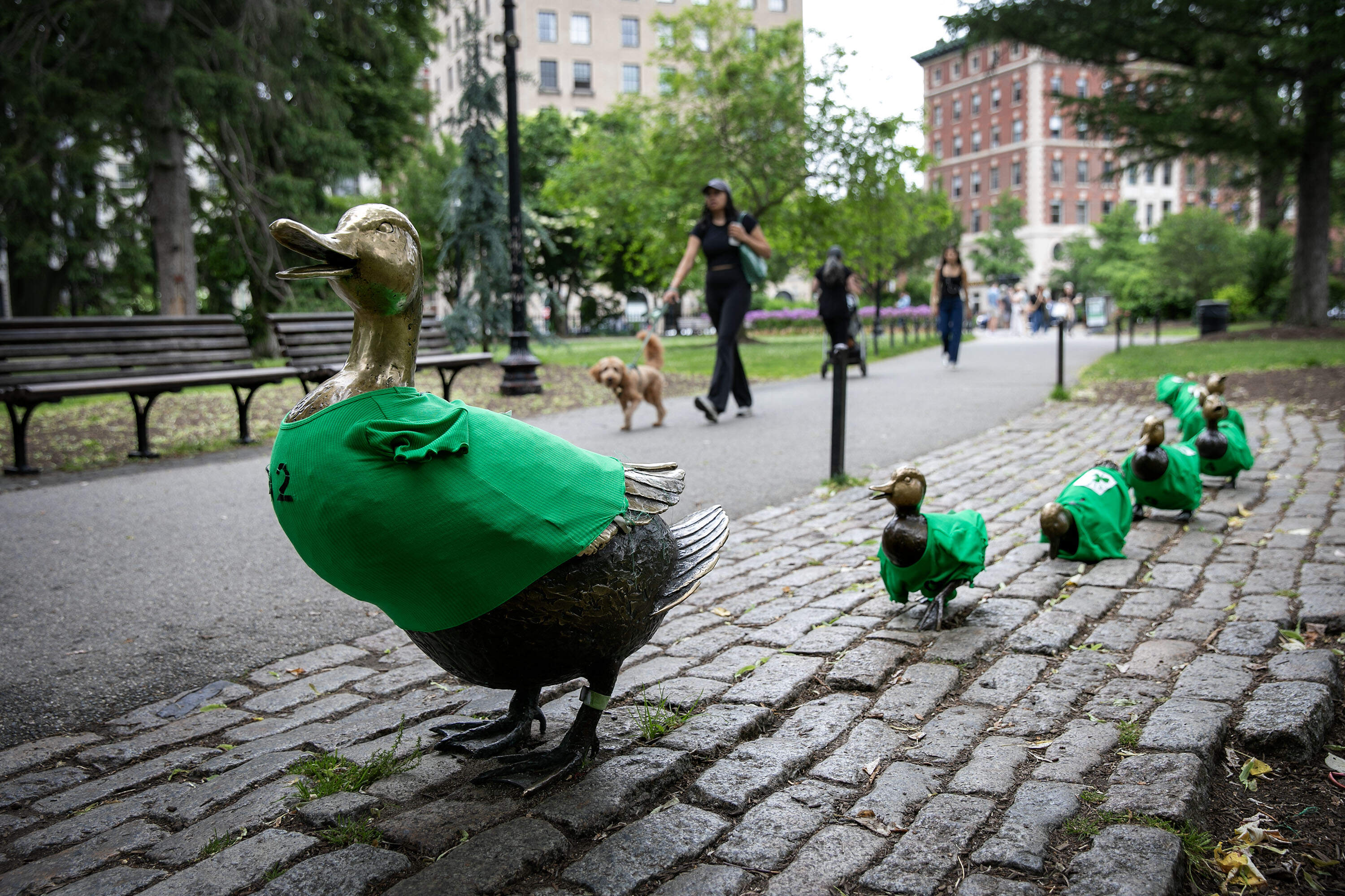 Visitors to the Boston Public Garden walk by artist Nancy Schön's duckling sculptures, this week dressed in green to support the Celtics in the NBA playoffs. (Robin Lubbock/WBUR)