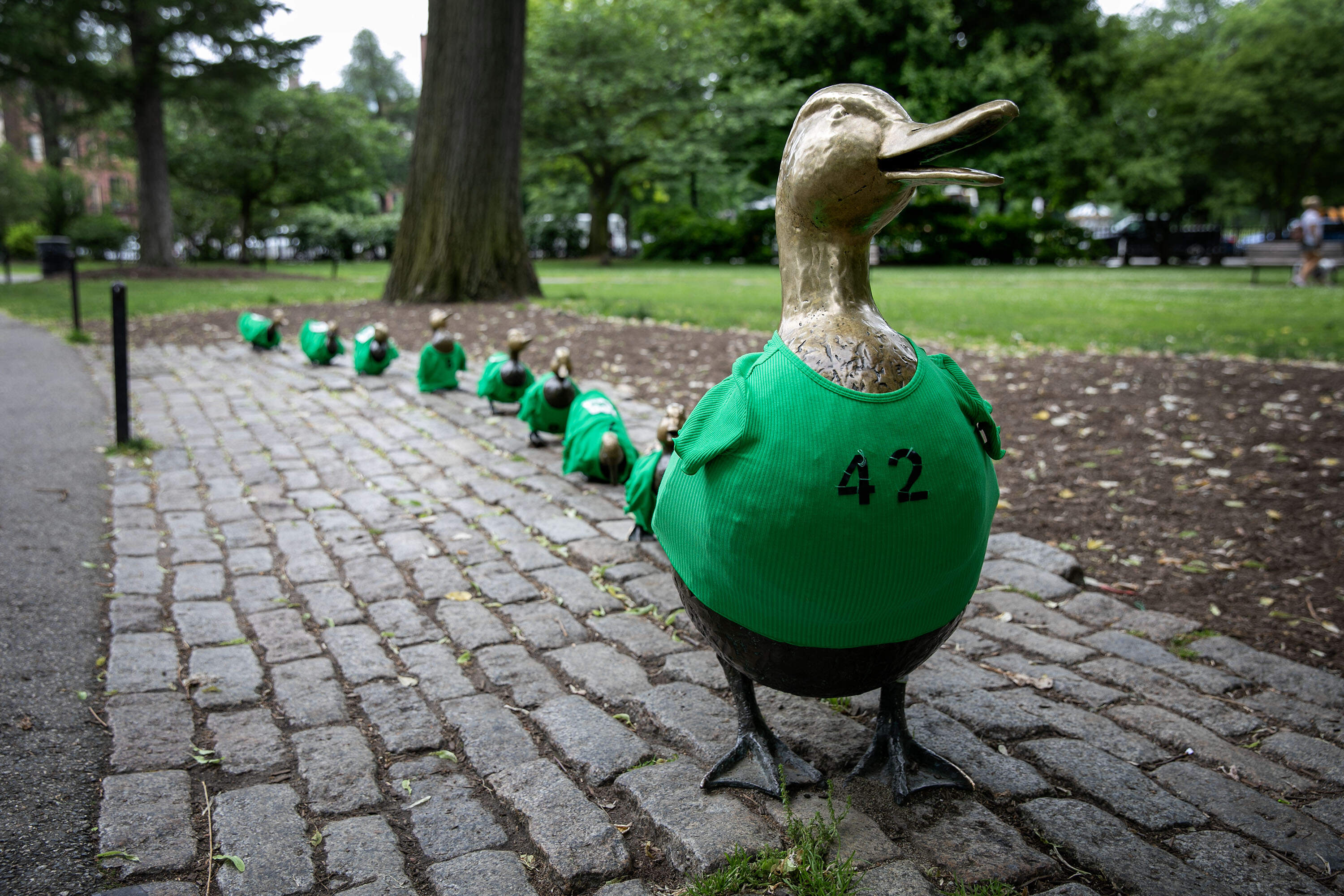 The "Make Way for Ducklings" statues in Boston Public Garden wear Celtics green for the first game of the NBA Finals. (Robin Lubbock/WBUR)