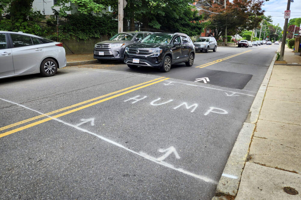 Street markings on Forest Hills Street in Jamaica Plain for a speed hump. (Andrea Perdomo-Hernandez/WBUR)