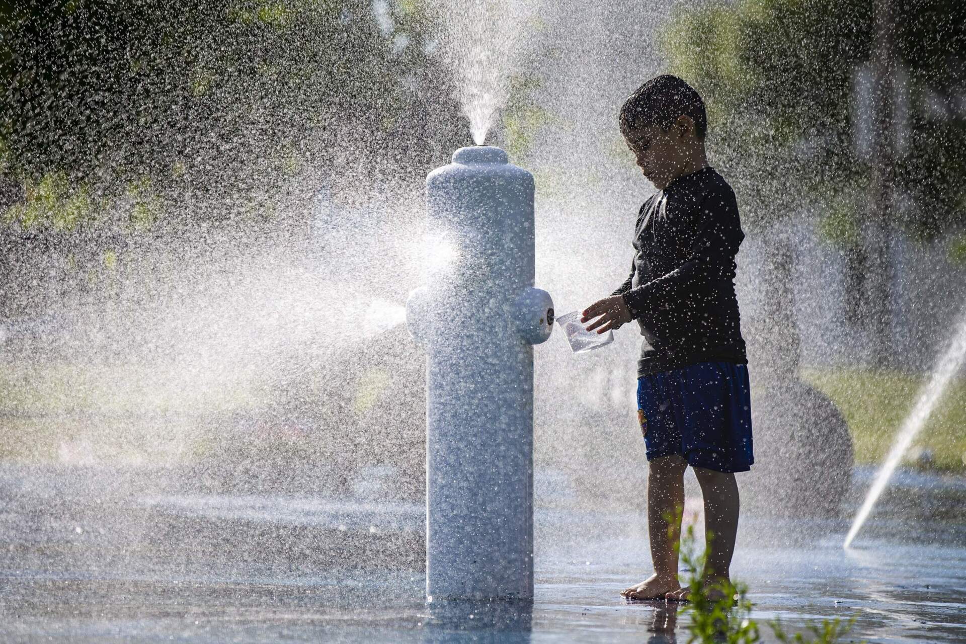 During a hot day in 2019, families kept cool in the spray pad at Ronan Park. (Jesse Costa/WBUR)