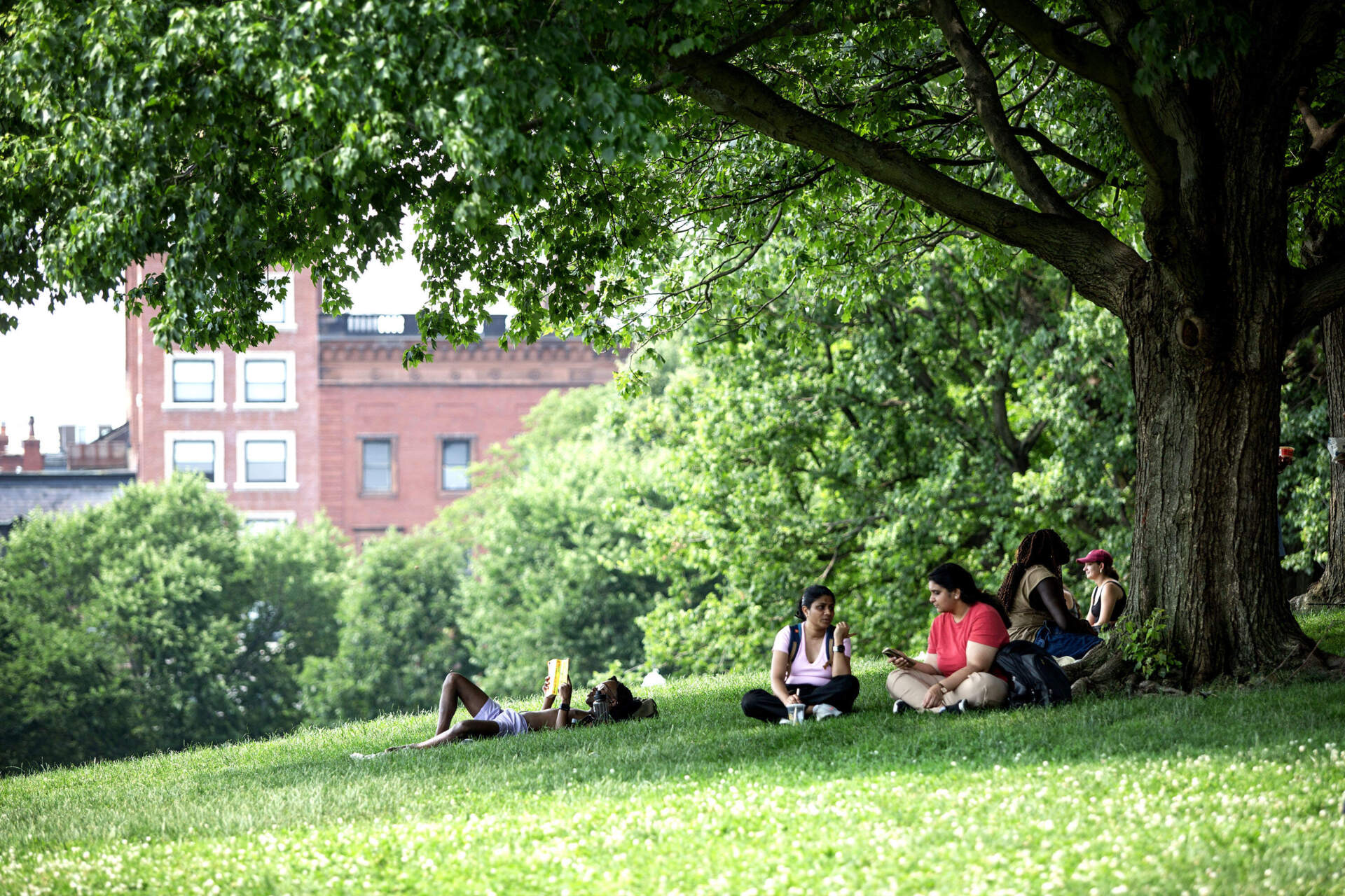 People talk and read in shade on the Boston Common. (Robin Lubbock/WBUR)