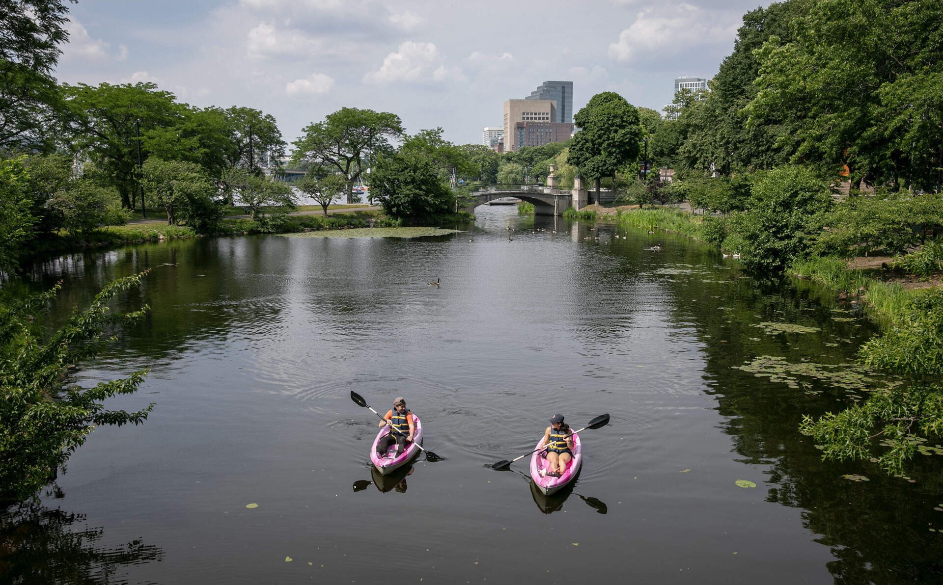 Escaping the heat, canoeists paddle across Storrow Lagoon on the Charles River. (Robin Lubbock/WBUR)