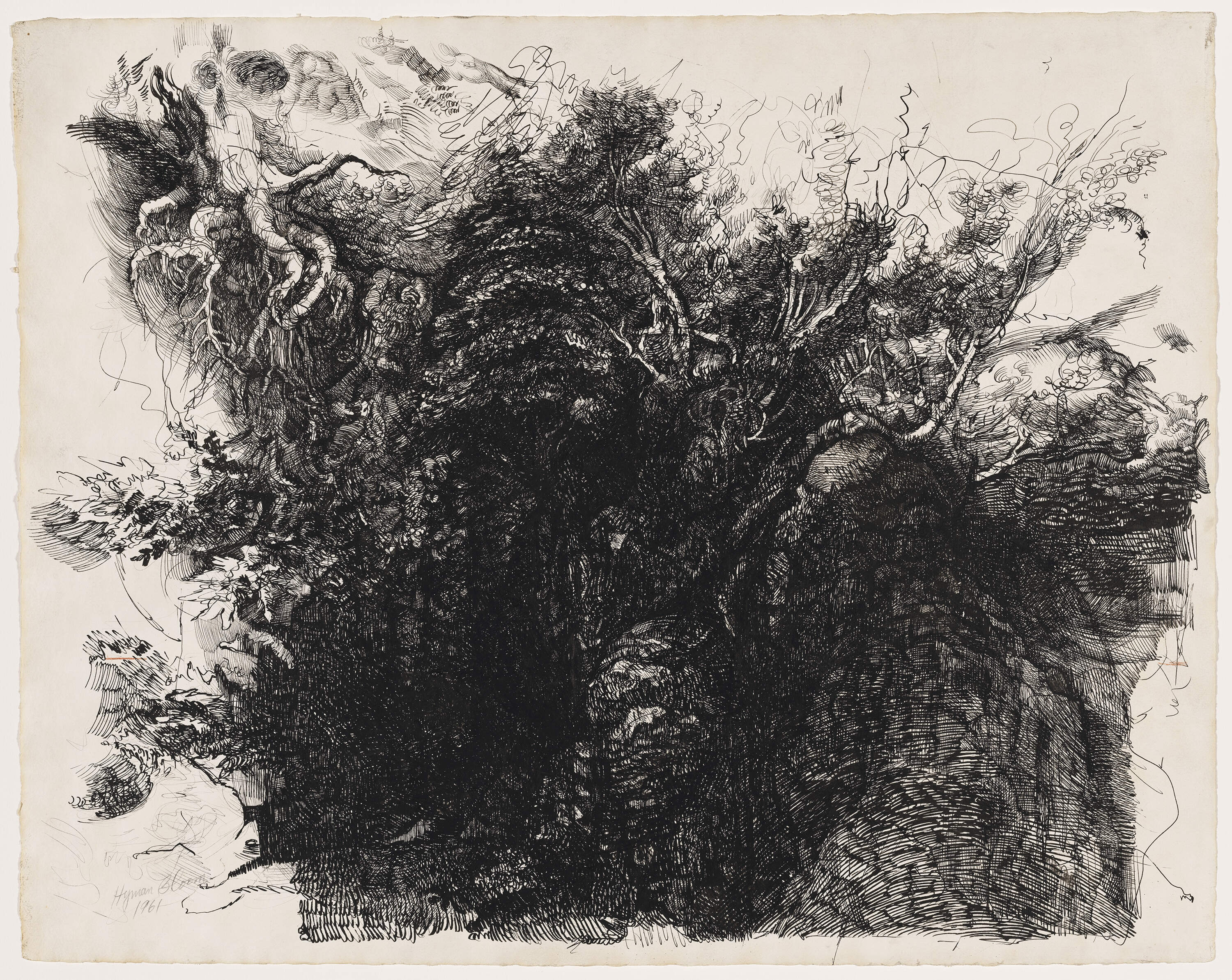 Hyman Bloom, "Study of Roots and Brambles," undated. (Courtesy Museum of Fine Arts, Boston)