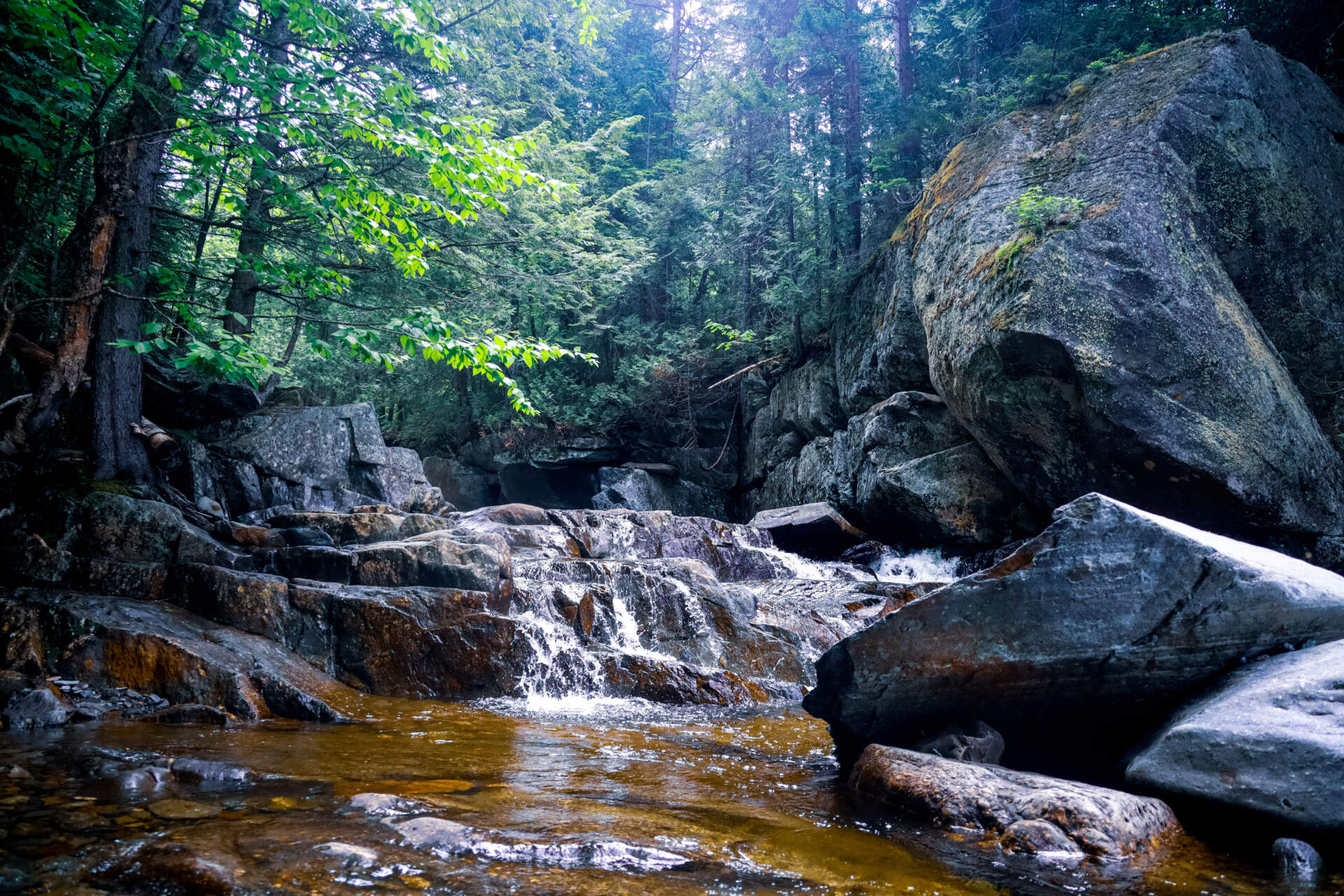 A waterfall on Cascade Stream Gorge Trail in Rangeley, Maine, on June 19. (Esta Pratt-Kielley/Maine Public)