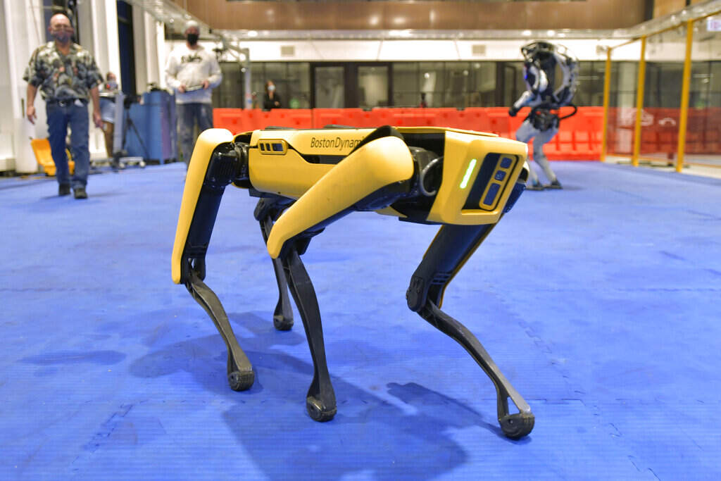 Boston Dynamics' Spot robot walks around during a demonstration at company's facility in Waltham. (Josh Reynolds/AP)