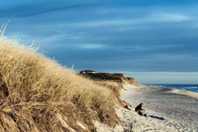 Painting Cape Cod's dunes in the dark, I trusted it would all add up in the morning