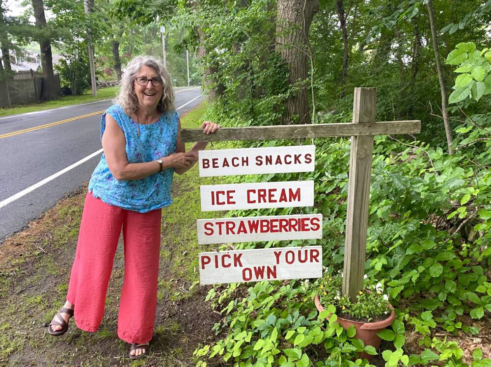 Susan Benjamin urges us to take advantage of the fleeting strawberry season while we can (Andrea Shea/WBUR)