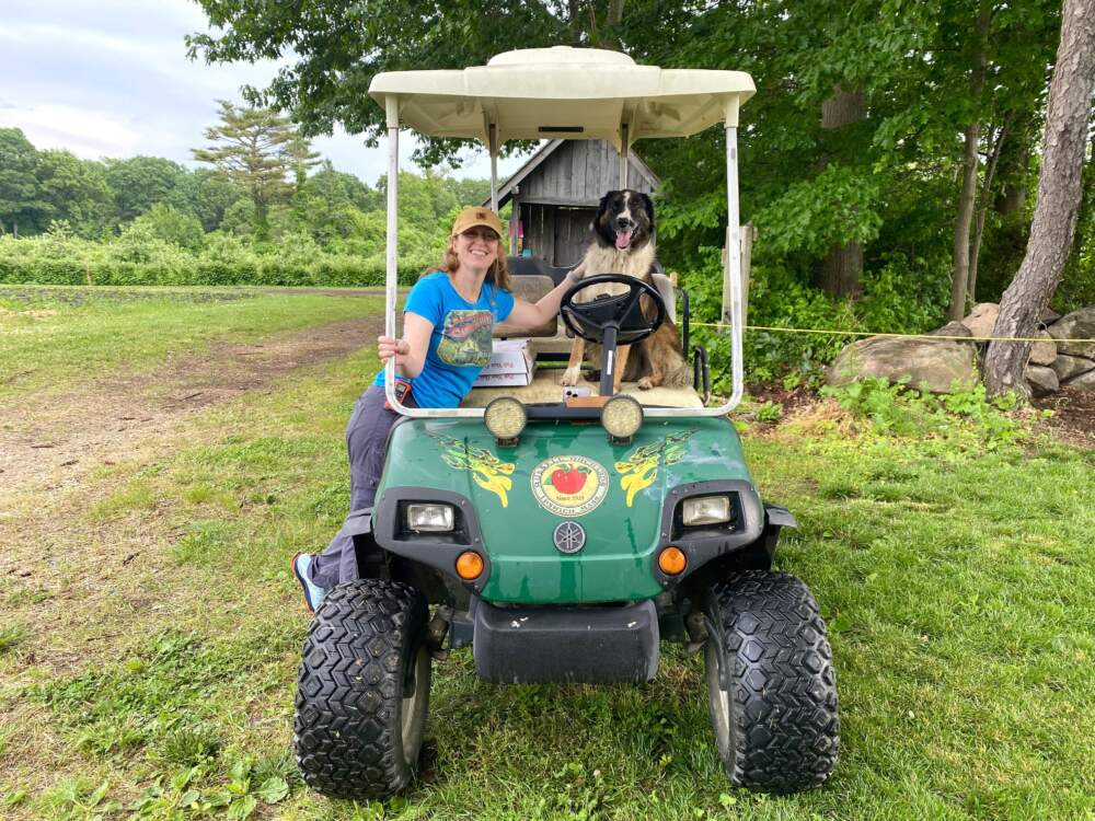 Miranda Russell, co-owner of Russell Orchards with her dog Rhubarb at their fruit farm in Ipswich (Andrea Shea/WBUR)