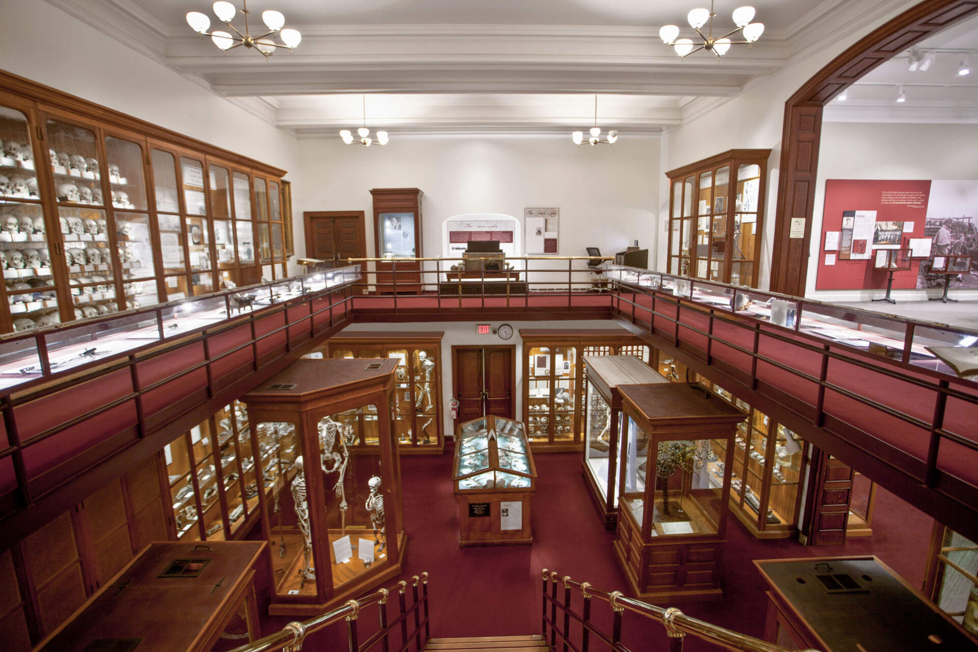 Display cases in the Mütter Museum at The College of Physicians of Philadelphia. (Courtesy of the museum)