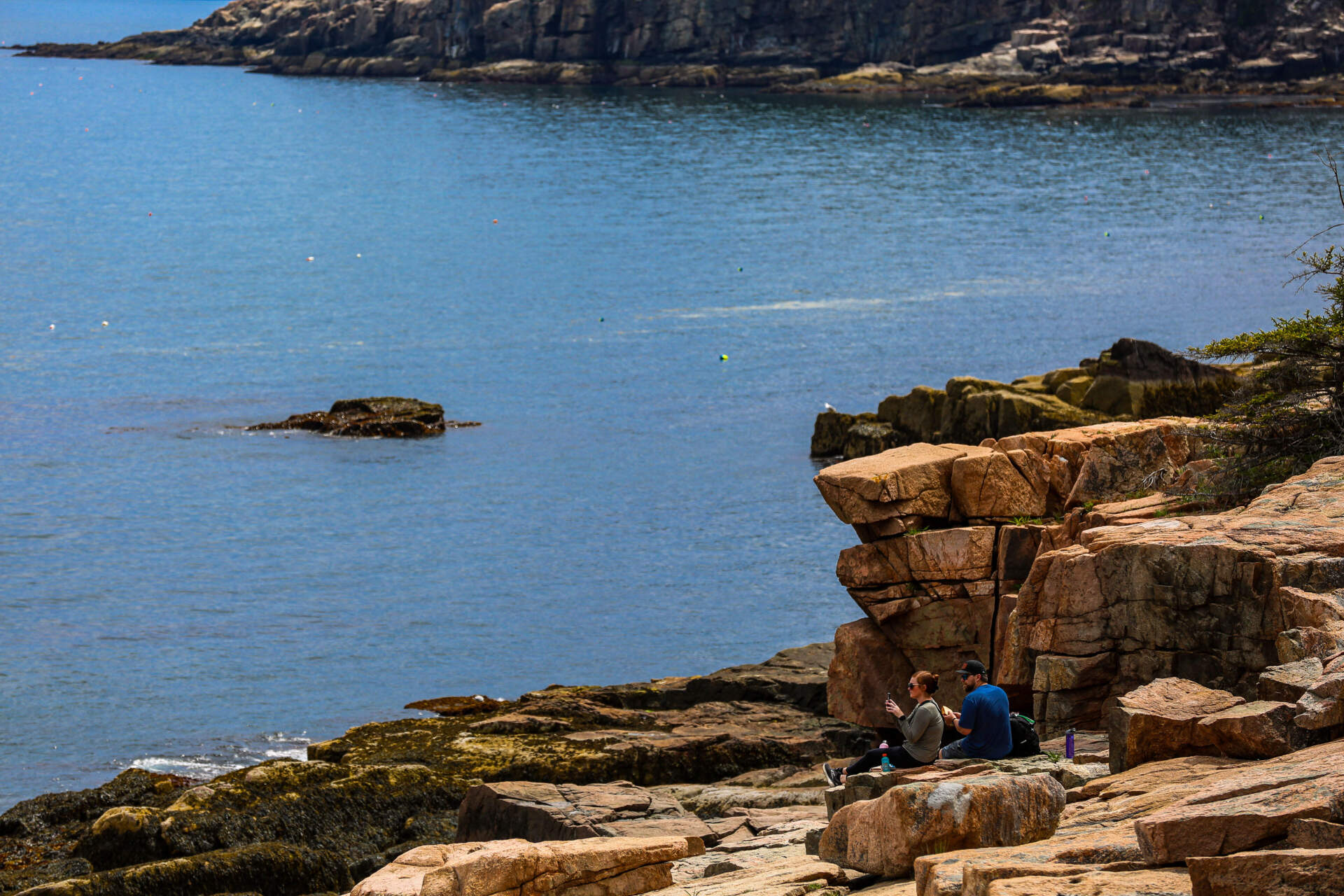 Tourists sit on the rocks off the Ocean Path Trail in Acadia National Park on June 3. (Esta Pratt-Kielley/Maine Public)